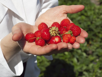 Similar image 222646