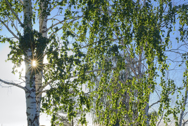 Similar image 222648