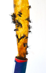 Similar image 222653