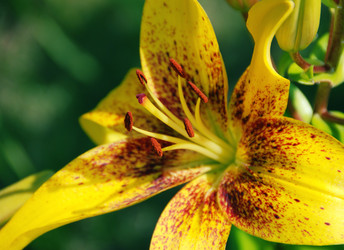 Similar image 222654