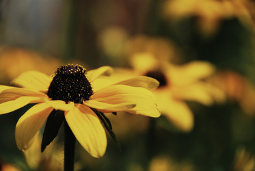 Similar image 222656