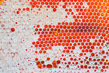 Similar image 222675