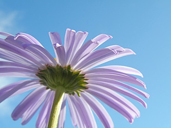 Similar image 222708