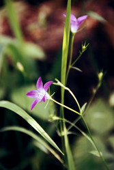 Similar image 222735