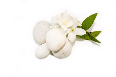 Similar image 222753