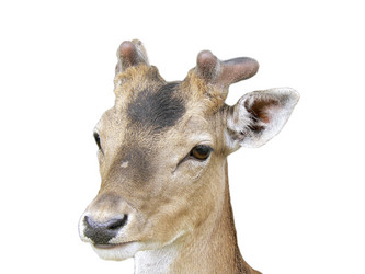 Similar image 222841