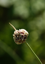 Similar image 222844