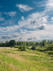 Similar image 222856