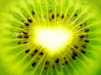 Similar image 222969