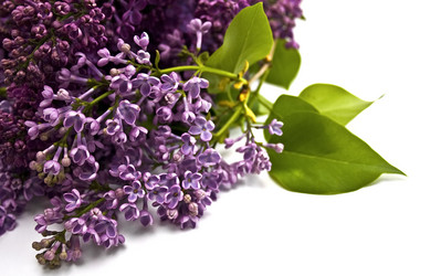 Similar image 222992