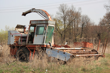 Similar image 223000