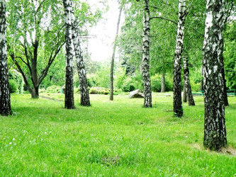 Similar image 223013