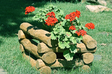 Similar image 223021