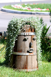 Similar image 223022