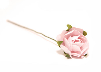 Similar image 223040