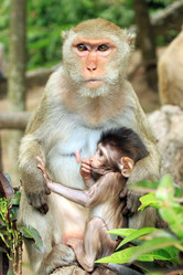 Similar image 223044