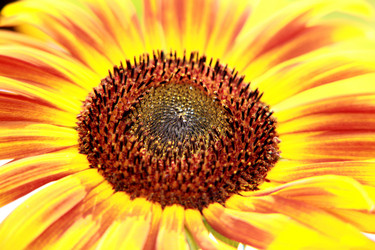 Similar image 223072