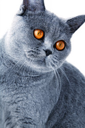 Similar image 223134