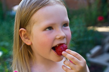 Similar image 223149