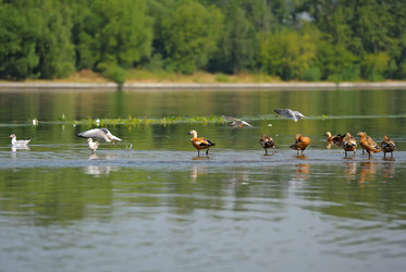 Similar image 223168