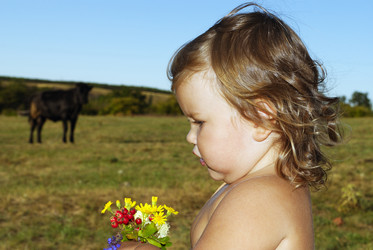 Similar image 223170