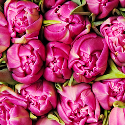 Similar image 223193