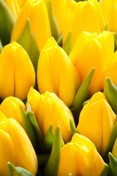 Similar image 223195