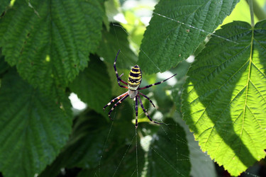 Similar image 223218