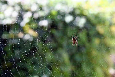 Similar image 223219