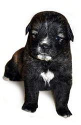 Similar image 223247