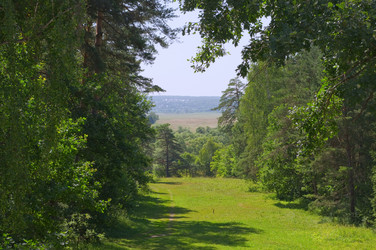 Similar image 223249