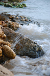 Similar image 223264