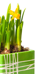 Similar image 223271