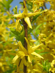 Similar image 223323