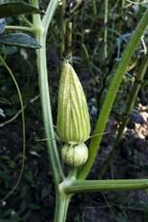 Similar image 223334