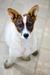 Similar image 223338