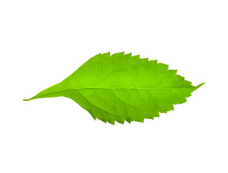 Similar image 223342