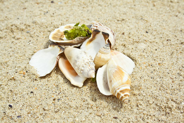 Similar image 223345