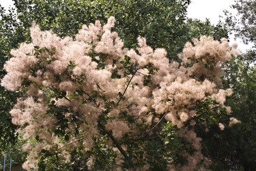 Similar image 223347