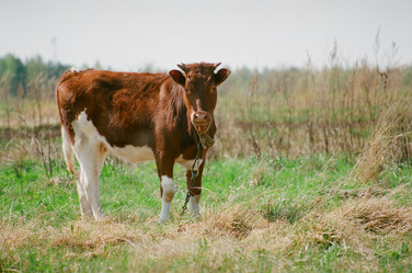 Similar image 223349