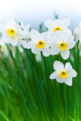 Similar image 223353