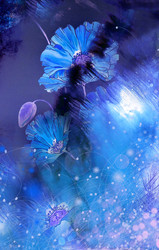 Similar image 223355