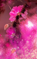 Similar image 223357