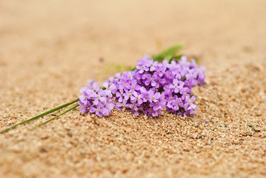 Similar image 223370