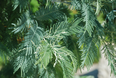 Similar image 223402