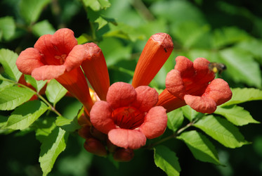 Similar image 223406