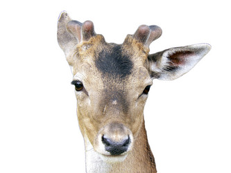 Similar image 223435