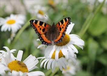 Similar image 223452