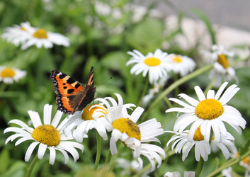 Similar image 223453