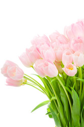 Similar image 223498